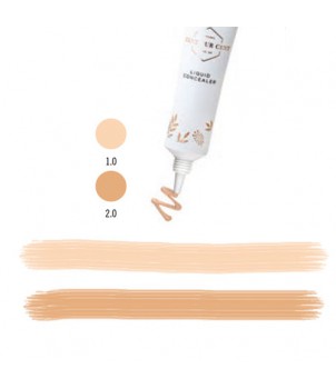 Liquid Mineral Concealer 1.0